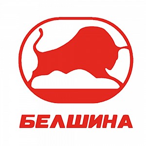 Белшина